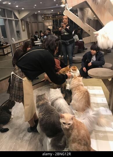 ultimo caso aziendale circa Specific Customer Feedback (Anonymous Compilation)